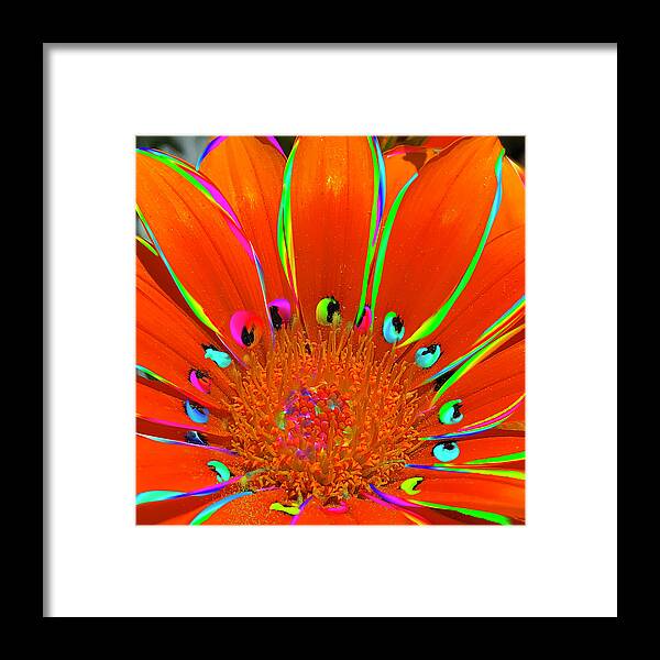Coral Framed Print featuring the digital art Deep Coral Bloom by Cindy Greenstein