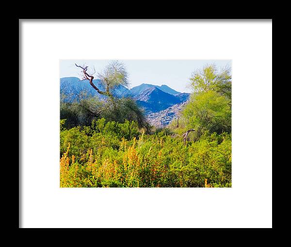 Arizona Framed Print featuring the photograph Deep Desert Valley in a Sonoran Desert Spring by Judy Kennedy