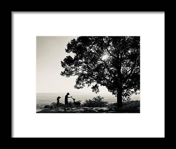 Deer Framed Print featuring the photograph Deer by Seattle Louisyang