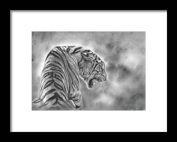 Tiger Framed Print featuring the drawing Defiant by Peter Williams