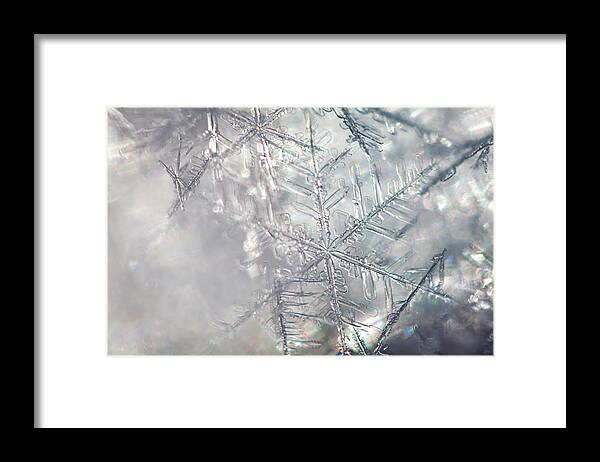 Abstract Framed Print featuring the photograph Delicate snowflakes illuminated by the sun by Intensivelight
