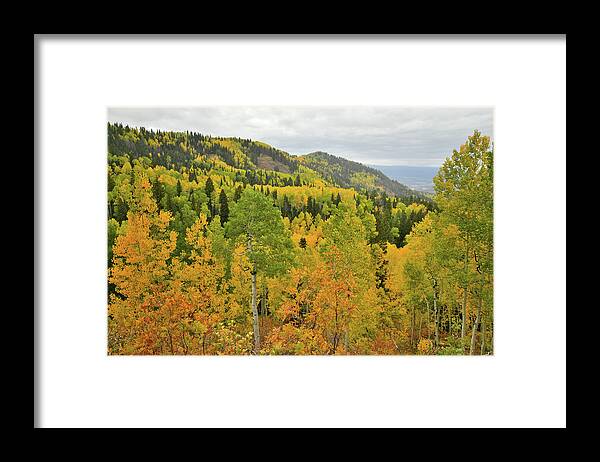 Owl Creek Pass Road Framed Print featuring the photograph Descending from Owl Creek Pass by Ray Mathis