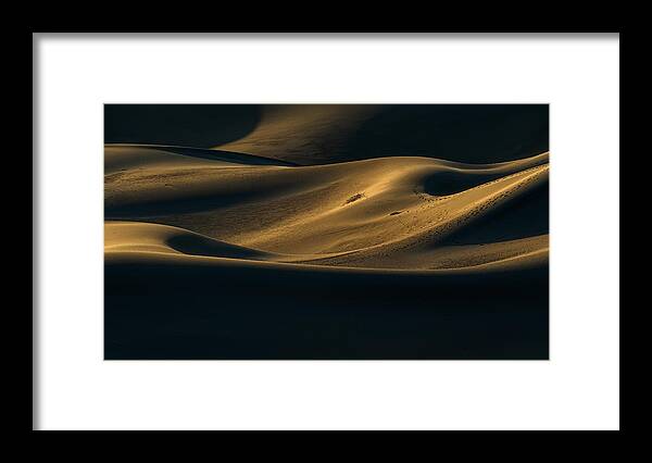 Desert Framed Print featuring the photograph Desert Impression by Renzi
