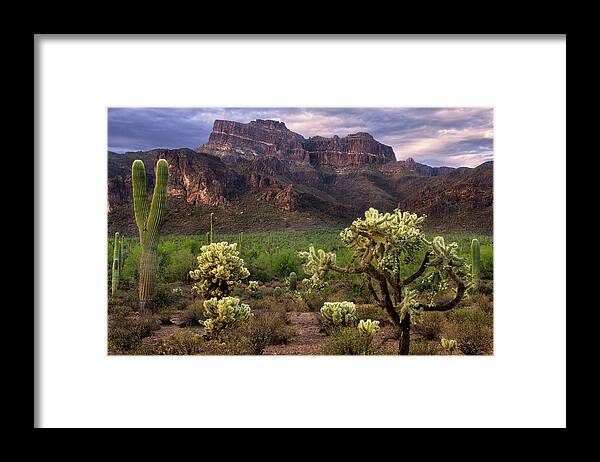 Superstition Framed Print featuring the photograph Desert Mountains and Cactus by Dave Dilli