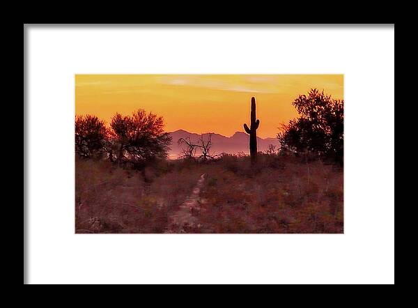 Affordable Framed Print featuring the photograph Desert Sunrise Trail by Judy Kennedy