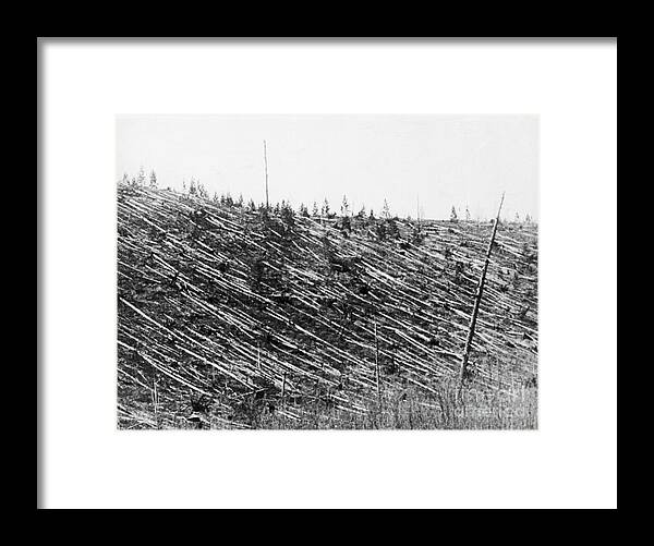 Wind Framed Print featuring the photograph Destroyed Forest From Tungusta Meteor by Bettmann