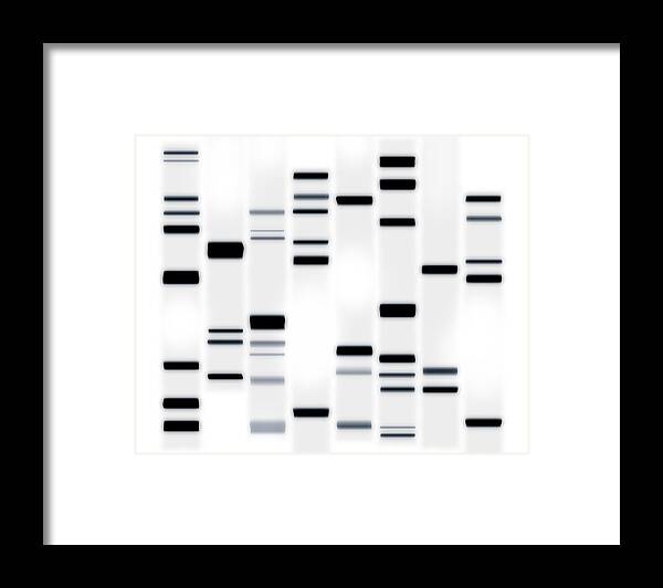 Dna Art Framed Print featuring the digital art DNA Art Black on White by Michael Tompsett