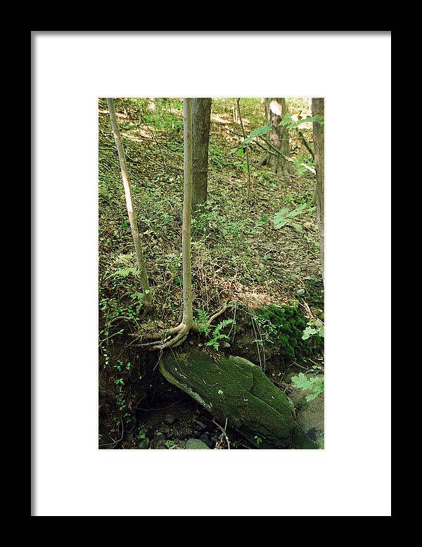 Landscape Framed Print featuring the photograph Dnrs1020 by Henry Butz