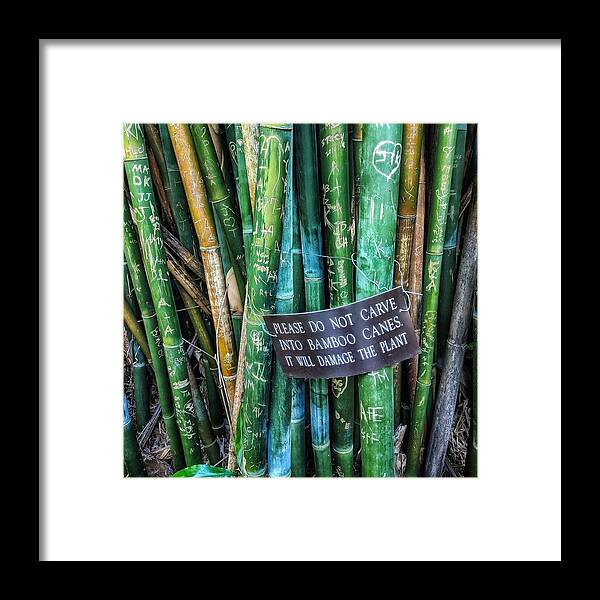 Bamboo Framed Print featuring the photograph Do Not Carve by Portia Olaughlin