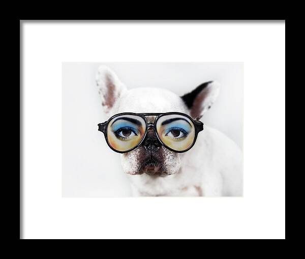 Pets Framed Print featuring the photograph Dog Wear Glasses by Retales Botijero