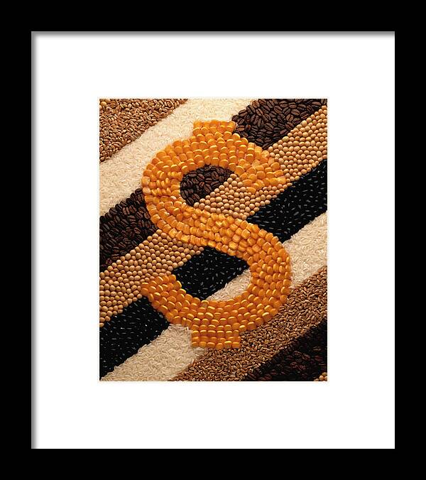 Sweetcorn Framed Print featuring the photograph Dollar Sign In Beans And Grains by Milton Montenegro