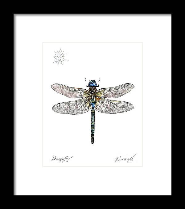 #faatoppicks Framed Print featuring the drawing DragonFly by Peter Farago