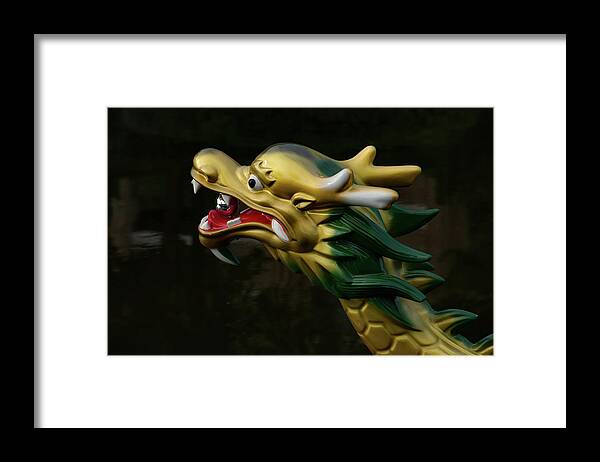 Boats Framed Print featuring the photograph Dragon's Head in Profile by Beth Partin