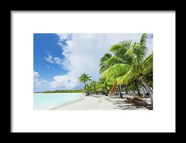 Scenics Framed Print featuring the photograph Dream Beach Bora-bora Coconut Palm by Mlenny