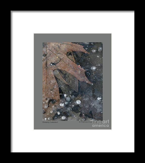 Leaf Framed Print featuring the photograph Dreamy Leaves-I by Patricia Overmoyer