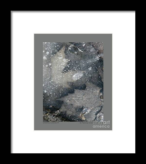 Leaf Framed Print featuring the photograph Dreamy Leaves-III by Patricia Overmoyer