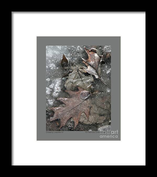 Leaf Framed Print featuring the photograph Dreamy Leaves-IV by Patricia Overmoyer