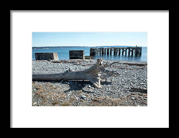 Driftwood Dinosaur And Abandoned Pier Framed Print featuring the photograph Driftwood Dinosaur and Abandoned Pier by Tom Cochran