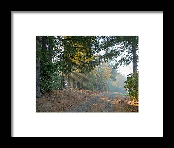 Driveway Morning Light Framed Print featuring the photograph Driveway Morning Light by Jean Noren