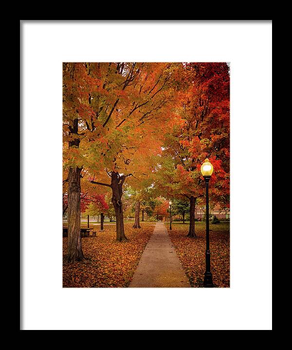 Fall Framed Print featuring the photograph Drury Autumn by Allin Sorenson