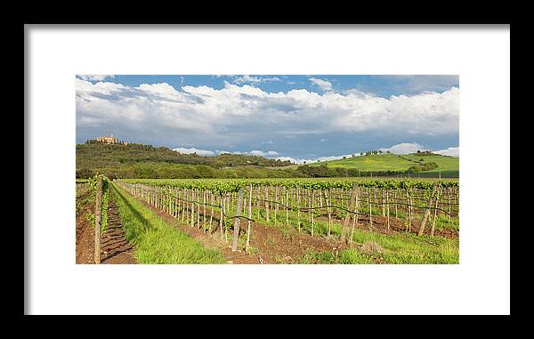 Scenics Framed Print featuring the photograph Dusk At Tuscany Vineyards by Saro17