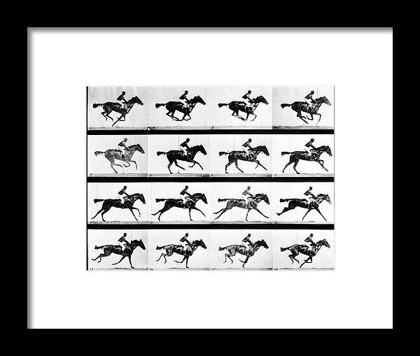 Eadweard Muybridge Framed Print featuring the photograph Eadweard Muybridge by LIFE Picture Collection
