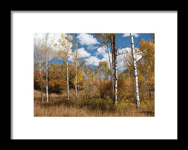 Autumn Framed Print featuring the photograph Early Afternoon Autumn Aspen Meadow by Cascade Colors