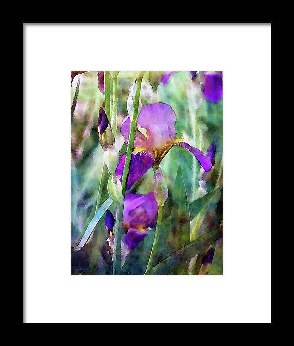 Impressionist Framed Print featuring the photograph Early Irises 6818 IDP_2 by Steven Ward