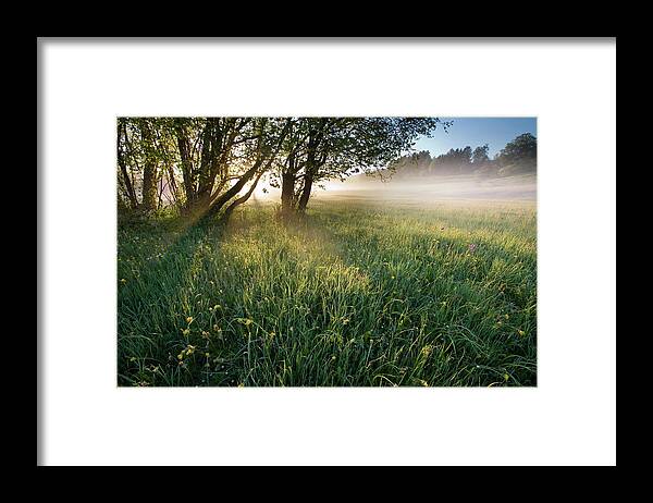 Scenics Framed Print featuring the photograph Early Morning by Ingmar Wesemann