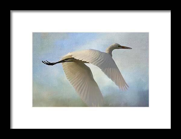 Egret Framed Print featuring the photograph Egret In The Clouds by HH Photography of Florida