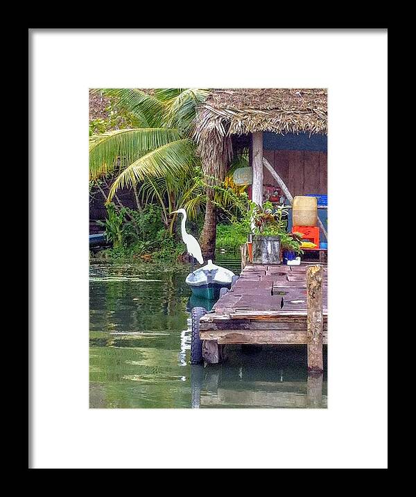Egret Framed Print featuring the photograph Egret on watch by Tina Aye