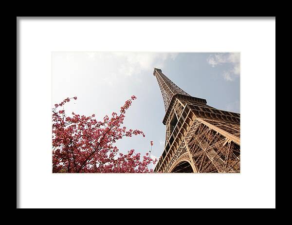 Eiffel Tower Framed Print featuring the photograph Eiffel Tower With Flowers by Studiokiet