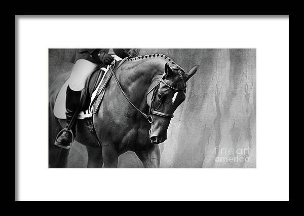 Horse Photography Framed Print featuring the photograph Elegance - Dressage Horse Large by Michelle Wrighton