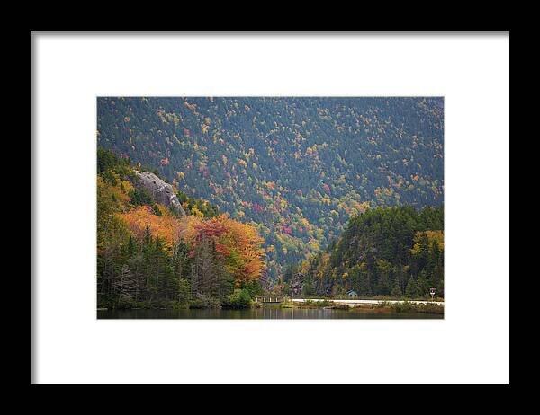 Elephant Framed Print featuring the photograph Elephant Head Autumn by Chris Whiton