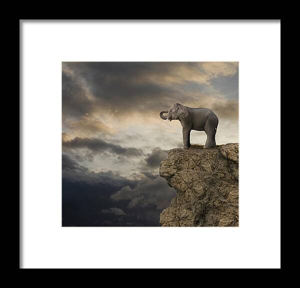 Risk Framed Print featuring the photograph Elephant On The Edge Of A Cliff by John Lund