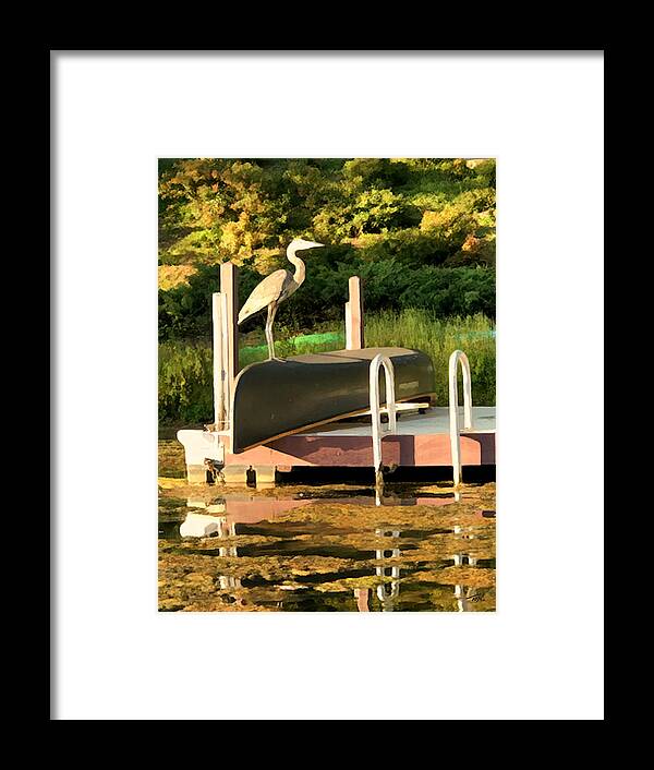 Fall Framed Print featuring the photograph Elevated Perspective by Tom Johnson