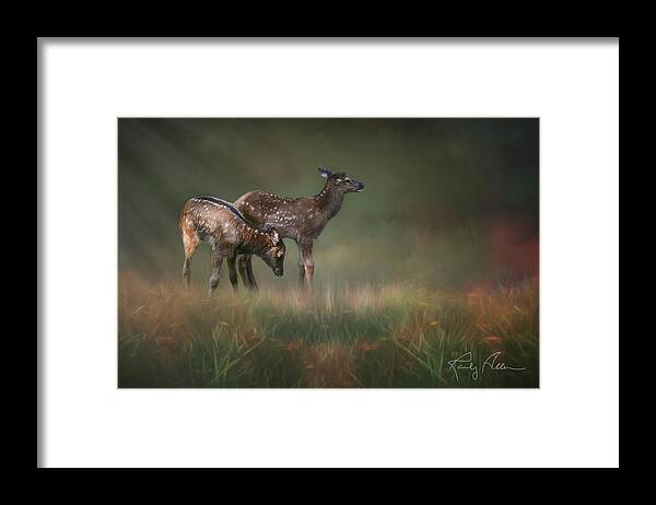 Elk Calf Framed Print featuring the photograph Elk Calves by Randall Allen