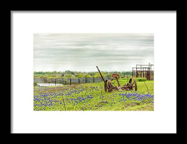 Texas Wildflowers Framed Print featuring the photograph Ellis County Bluebonnets #1 by Victor Culpepper