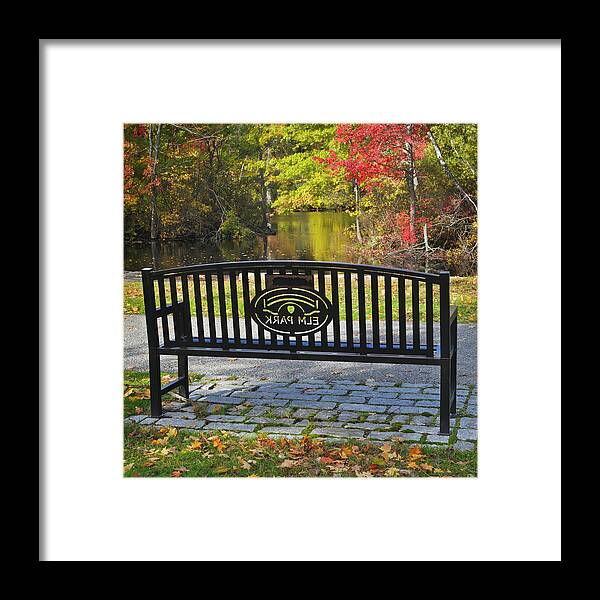 Bench Framed Print featuring the photograph Elm Park Autumn Bench by Luke Moore
