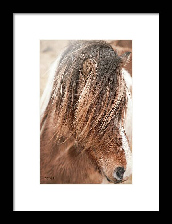 Animals Framed Print featuring the photograph Elska I by Laura Marshall