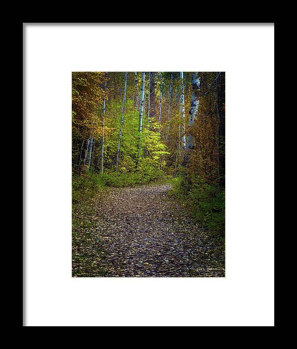 Best Of The Northwest Framed Print featuring the photograph Enchanted Path by Greg Waddell