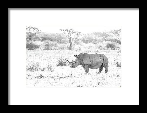 Rhino Framed Print featuring the photograph Endangered by Hamish Mitchell