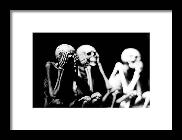 Skeleton Photo Framed Print featuring the photograph Endless Summer by Sandra Dalton
