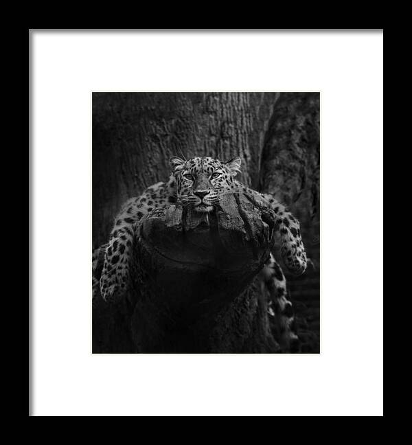 Nature Framed Print featuring the photograph Engendered Beauty by Krystom