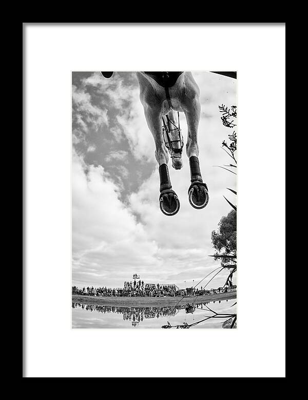 Horses Framed Print featuring the photograph Equine Flight by Sharon Lee Chapman