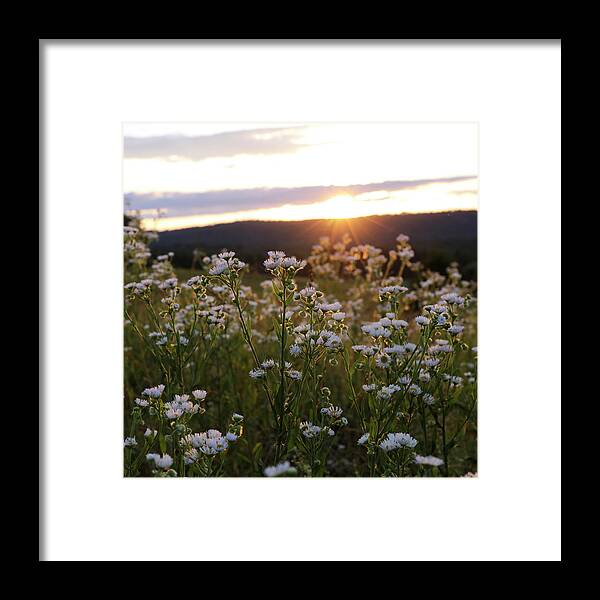 Evening Framed Print featuring the photograph Evening Glow by Bari Rhys