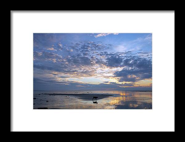 Dog Framed Print featuring the photograph Evening Stroll by Denise LeBleu