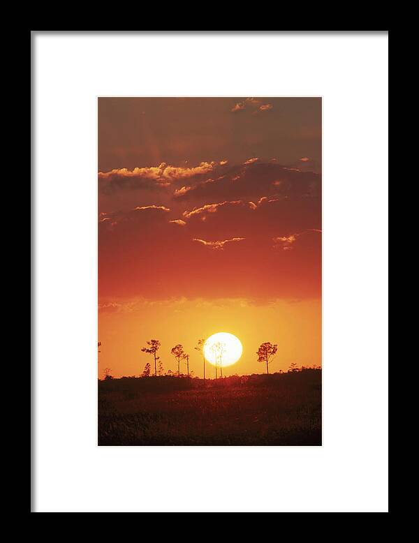 Astronomy Framed Print featuring the photograph Everglades National Park by Michael Lustbader