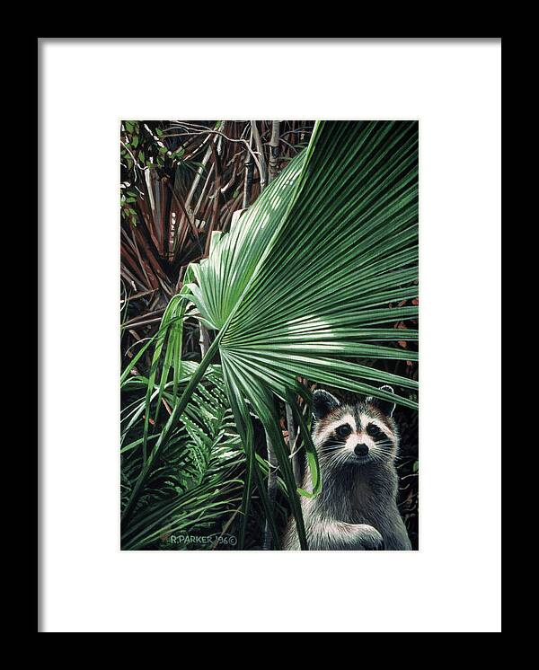 A Raccoon Stands Next To A Large Framed Print featuring the painting Everglades Raccoon by Ron Parker