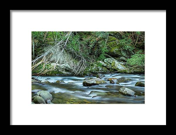 Stream Framed Print featuring the photograph Exploring Along The Stream by Mike Eingle